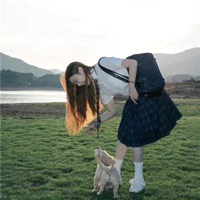 龙凤春光